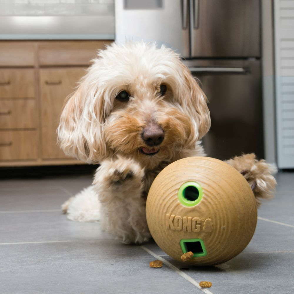 bamboo feeding ball Md dog toy