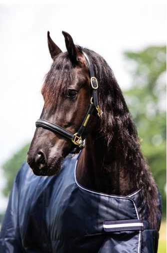 Showtime Goliath XL horse rug