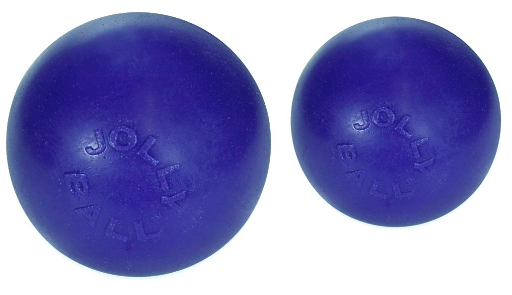 Bounce-n Play 15cm dog ball