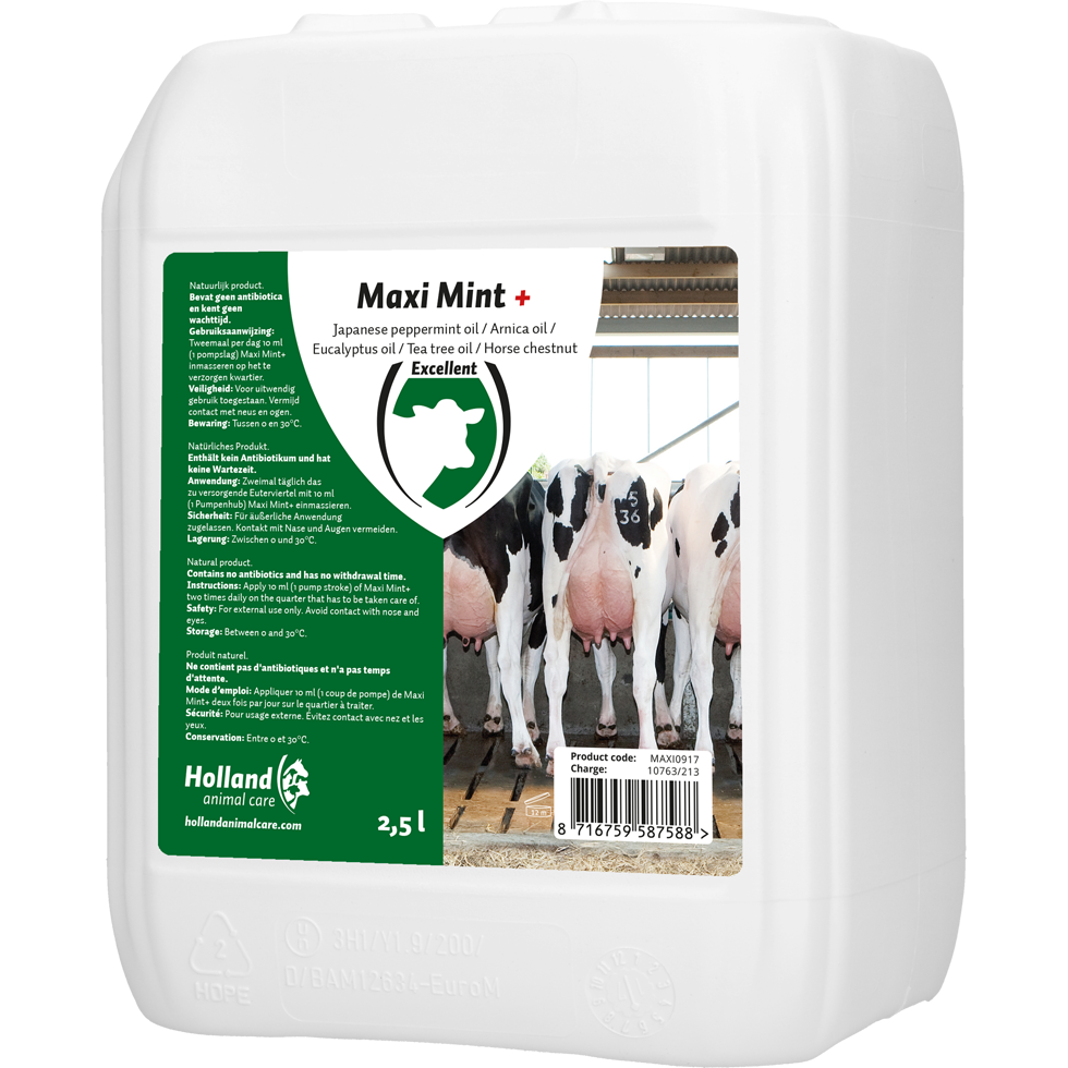 Maxi Mint cattle udder care in large pack with dispenser