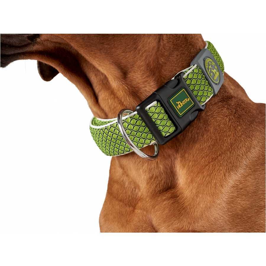 Hilo Vario Basic dog collar lime