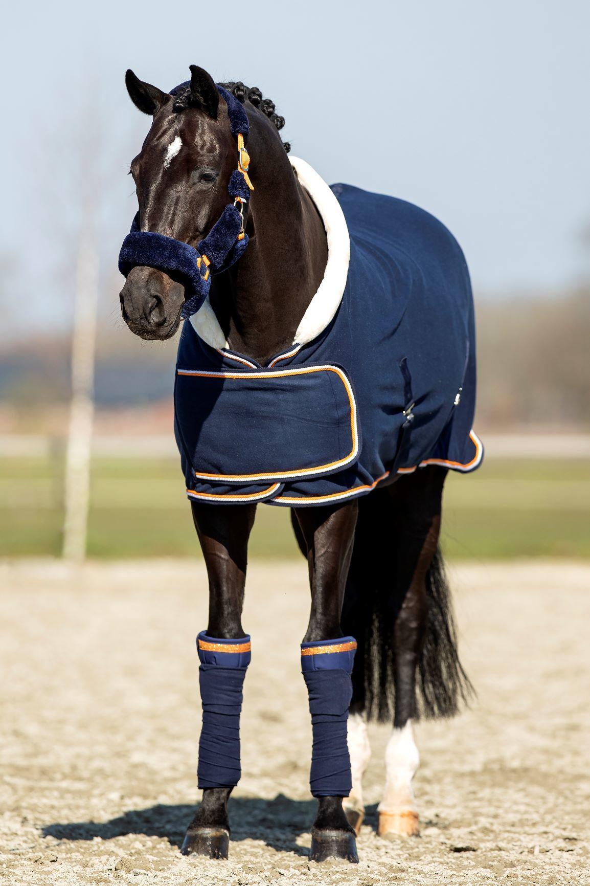 Showtime Blue Moon Horse rug
