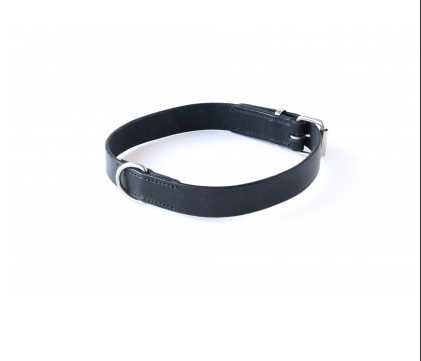 013011 Leather dog collar