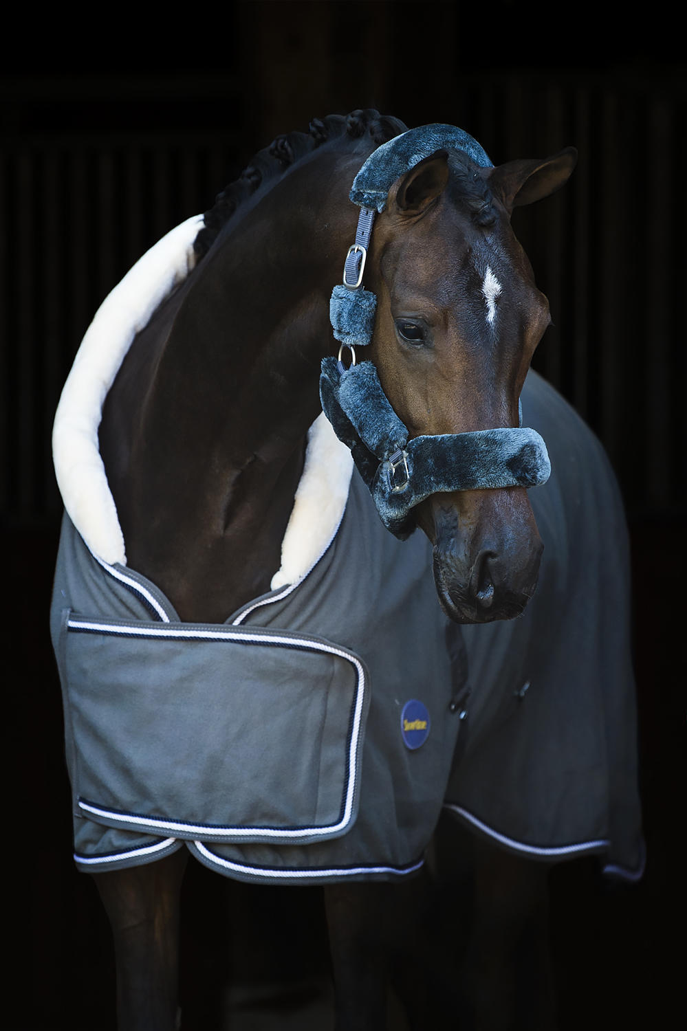 Matera Showtime Headcollar, halter