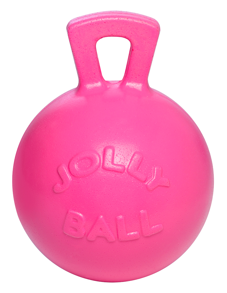 Play ball for horses 2
