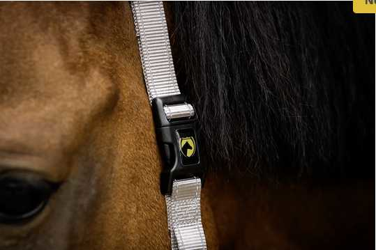 Monza Headcollar, halter