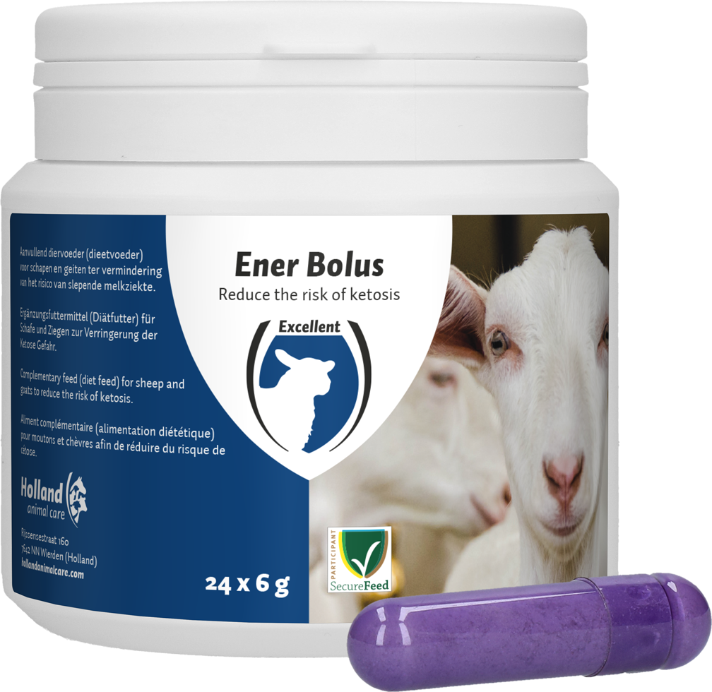 Energy Bolus sheep, goat ketosis