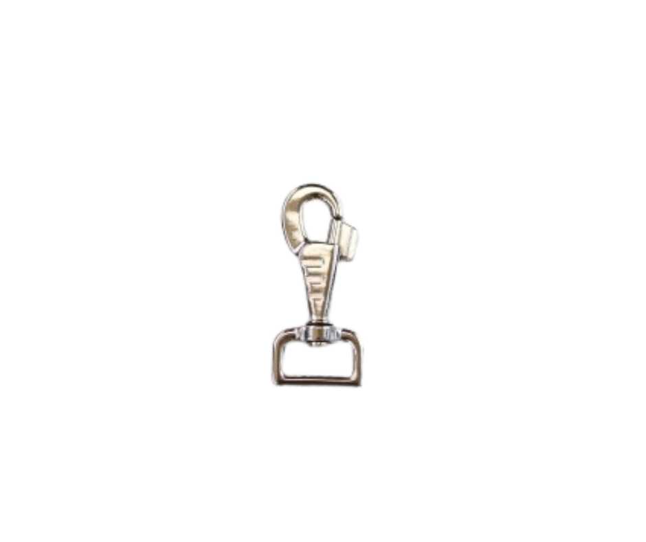 shiny carabiner