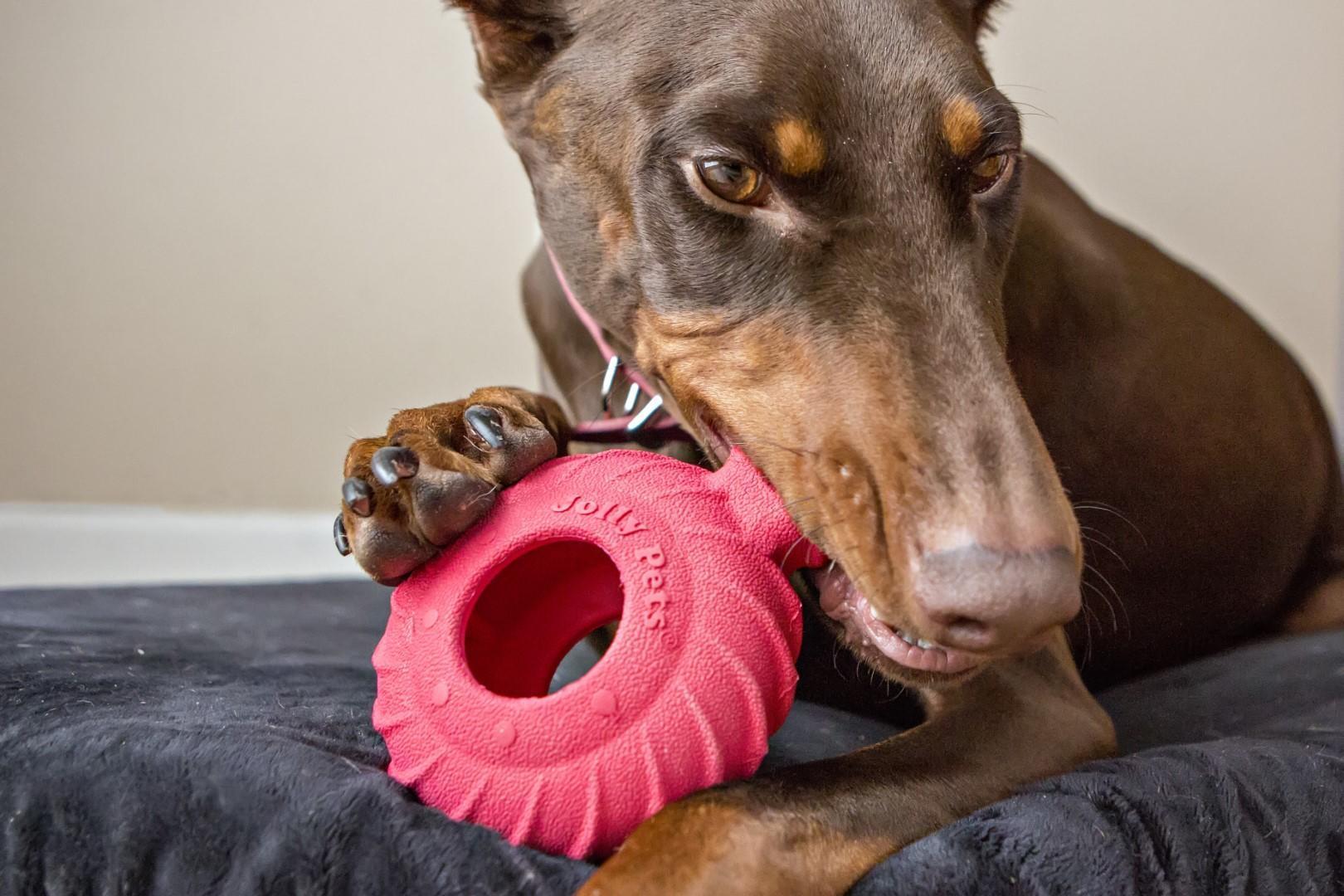 Tuff Treader 11,5 cm dog toy chew toy