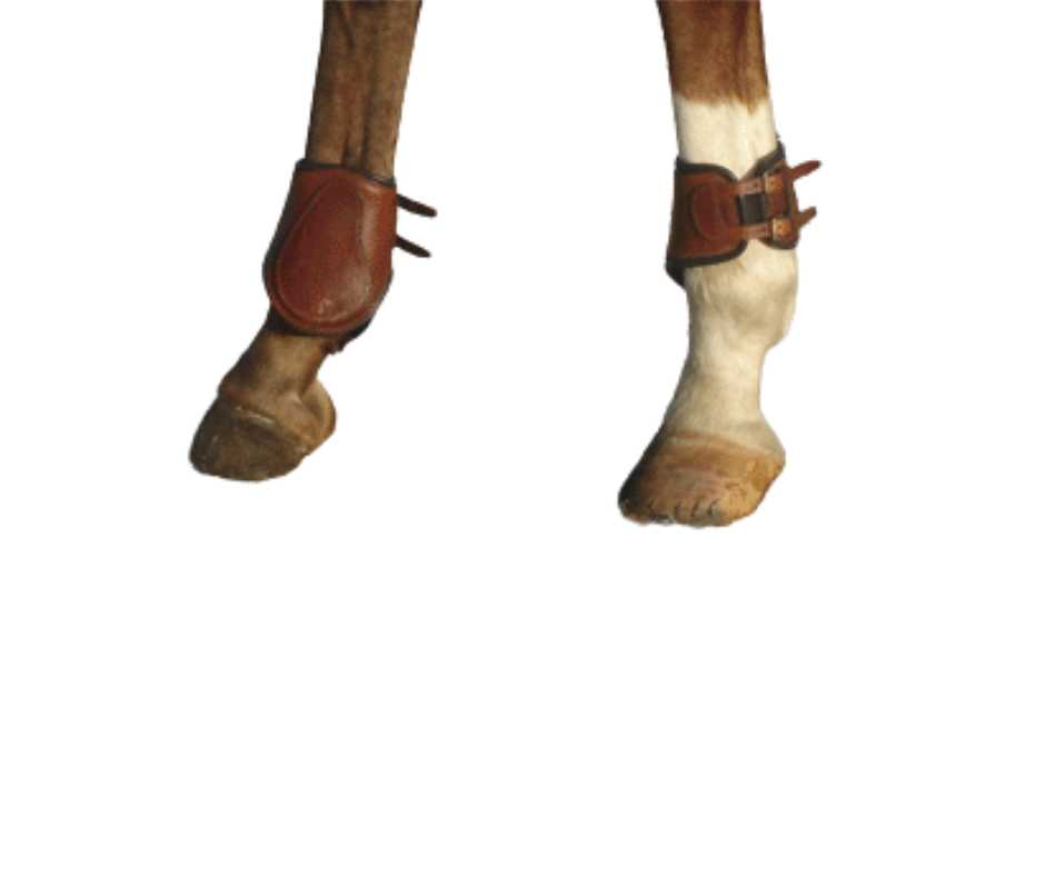 Jimm fetlock boots