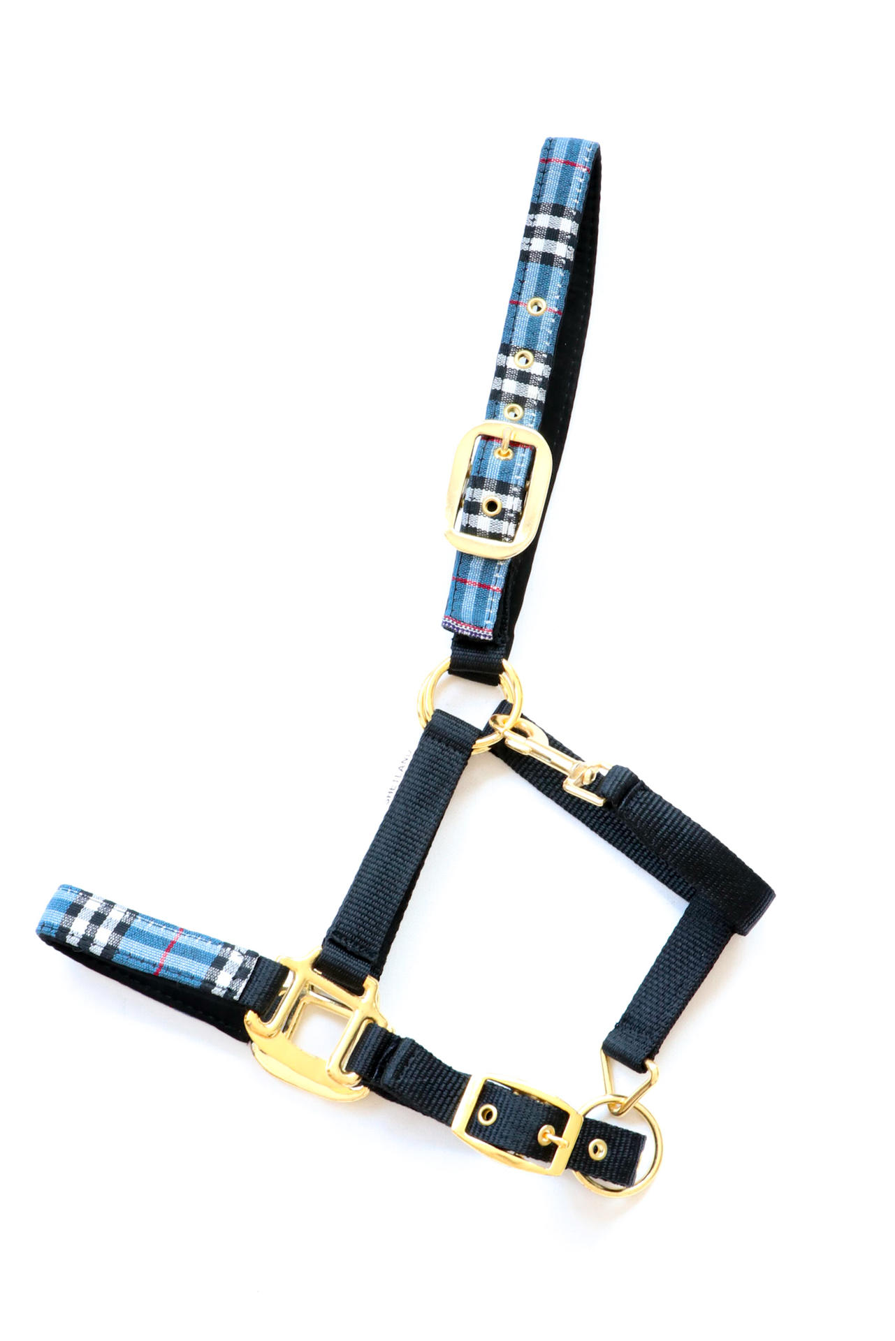 Special Edition headcollar, halter