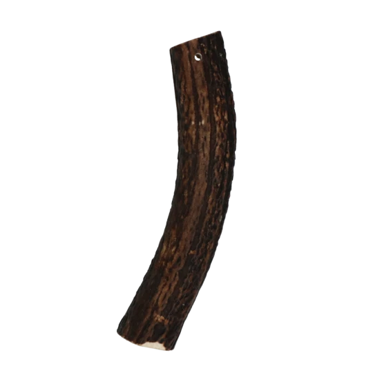 Chewbone XL dog dental care