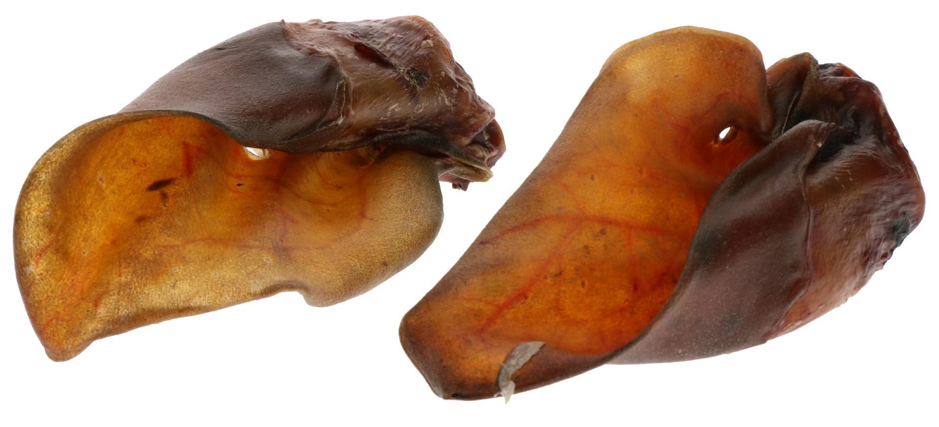 Cow ear reward wall 5pcs