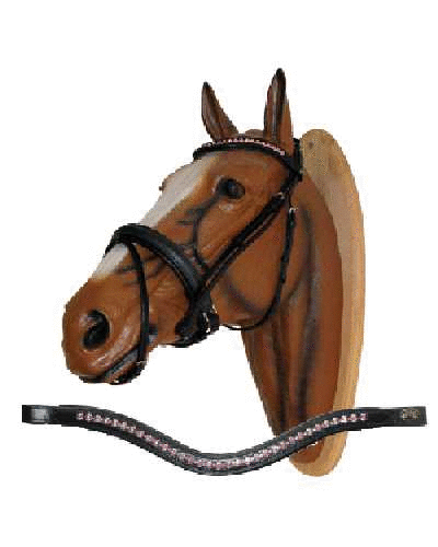 Tropical bridle