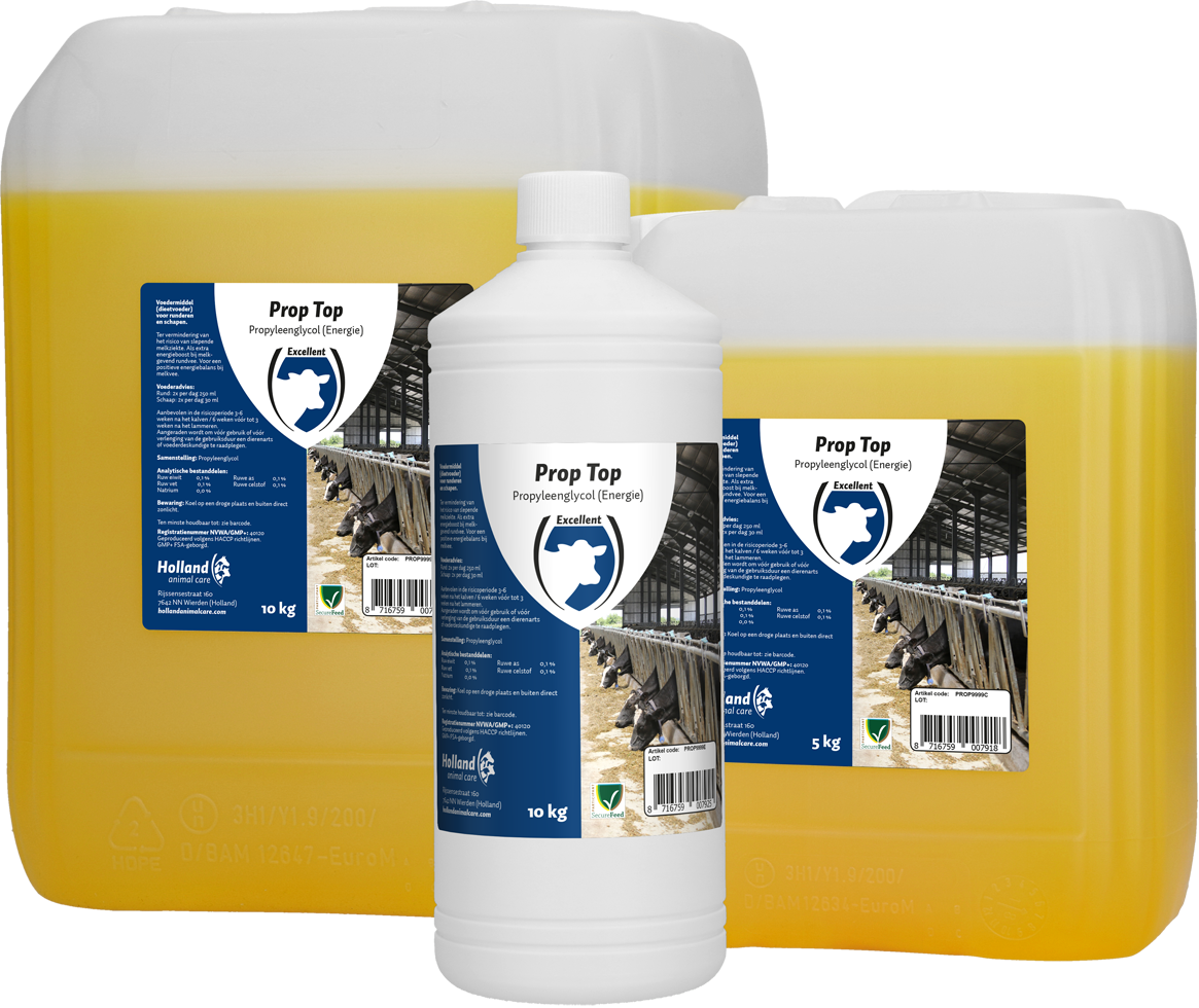 Prop Top to reduce the risk of ketosis in cattle after parturition, calving