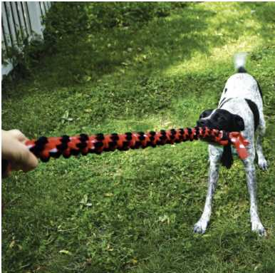 Double knot rope game for dogs
