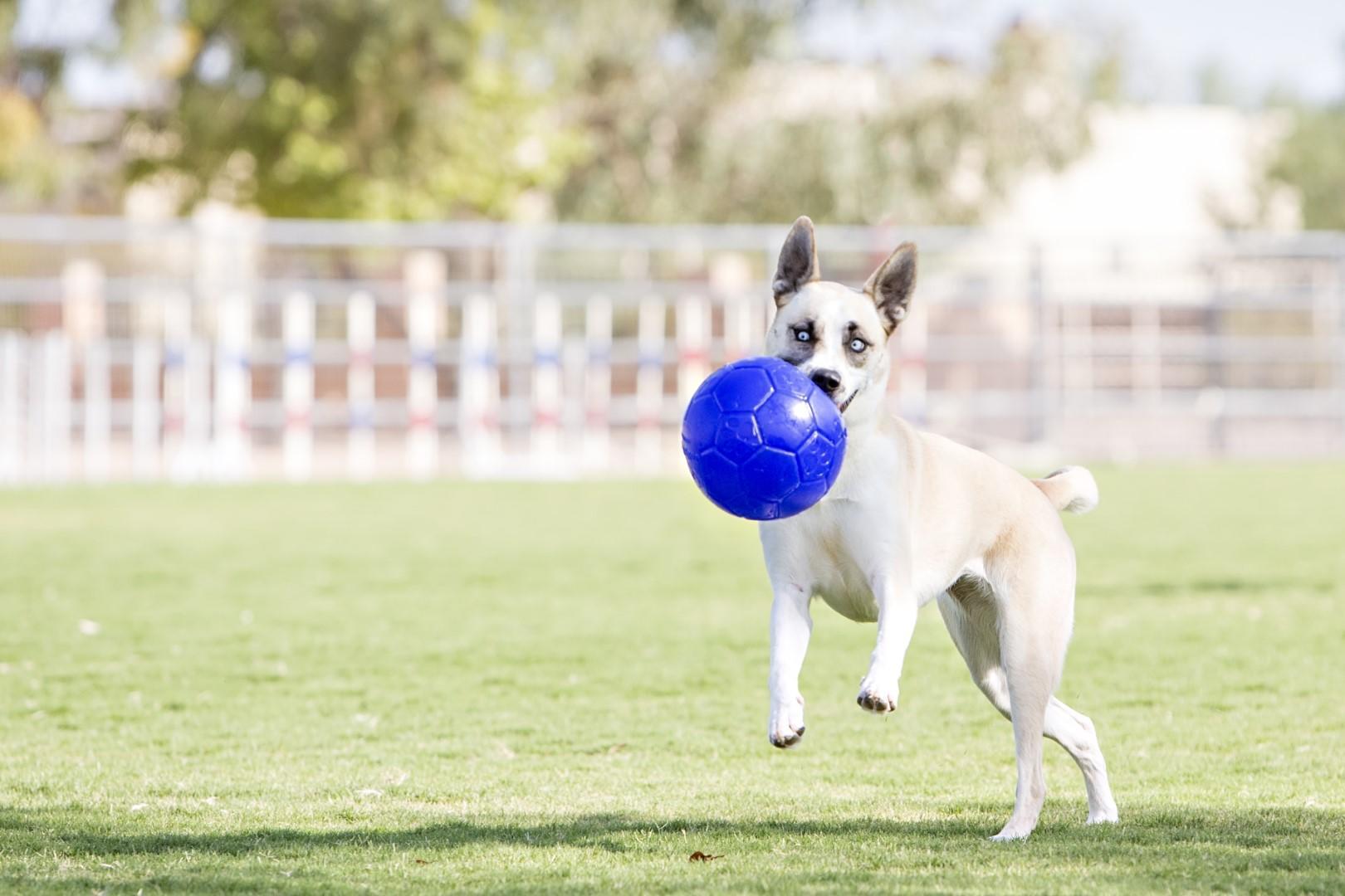 Jolly Soccer Ball 15cm