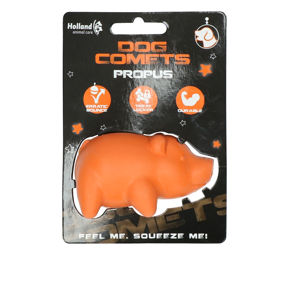 Piggy orange dog toy