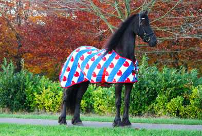 Adin Horse rug