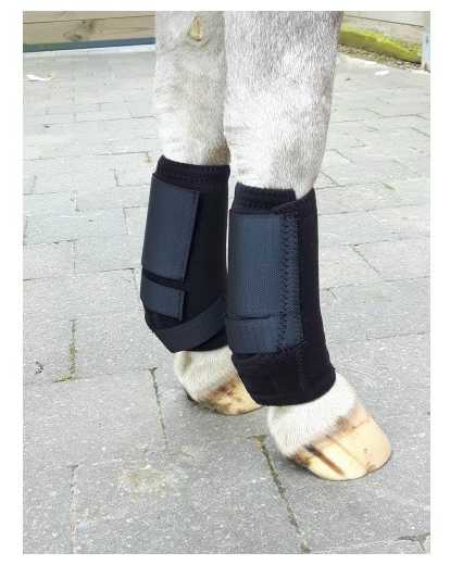 221  Tendon protection boots neoprene 3-in-1 royal blue minishetland horse foot protection
