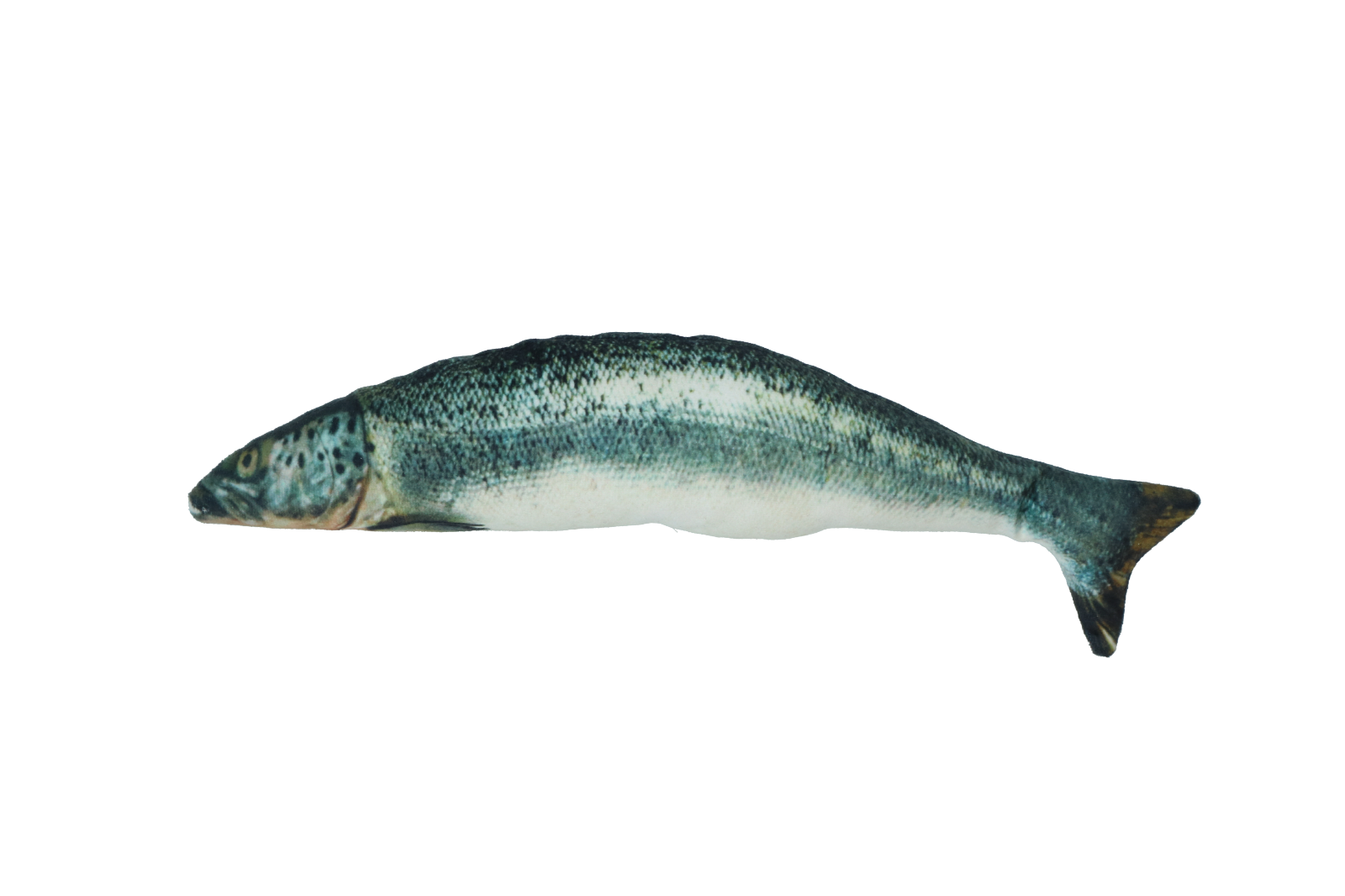 Fully hooked salmon M 30 cm cat toy