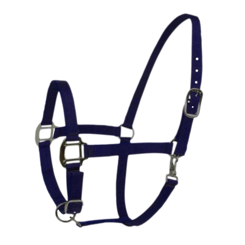 Langres Headcollar and halter