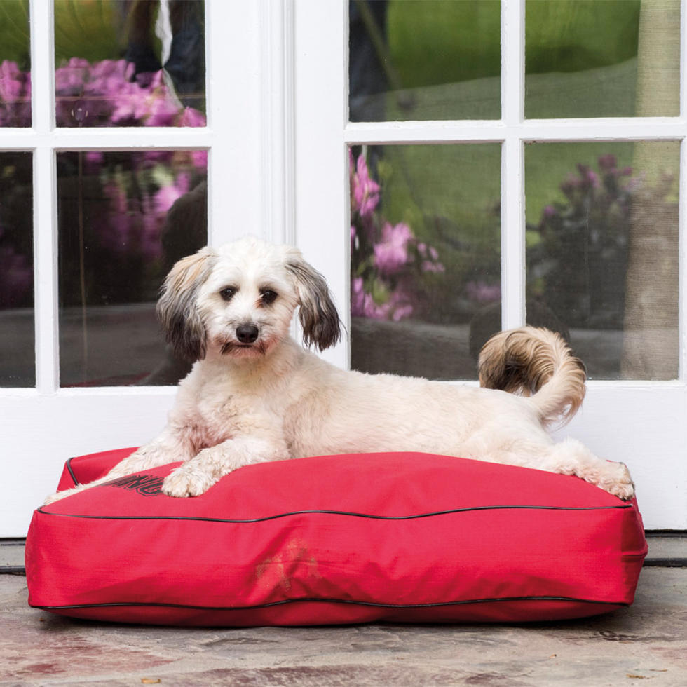 Rectangle dog bed small red with black edge