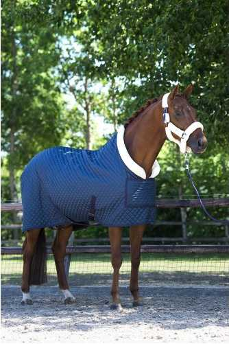 Showtime Desiro horse rug