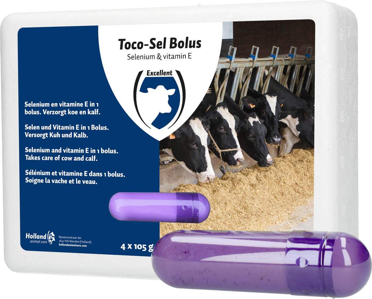 Toco-Cell Bolus, bovine immune booster, vitamin