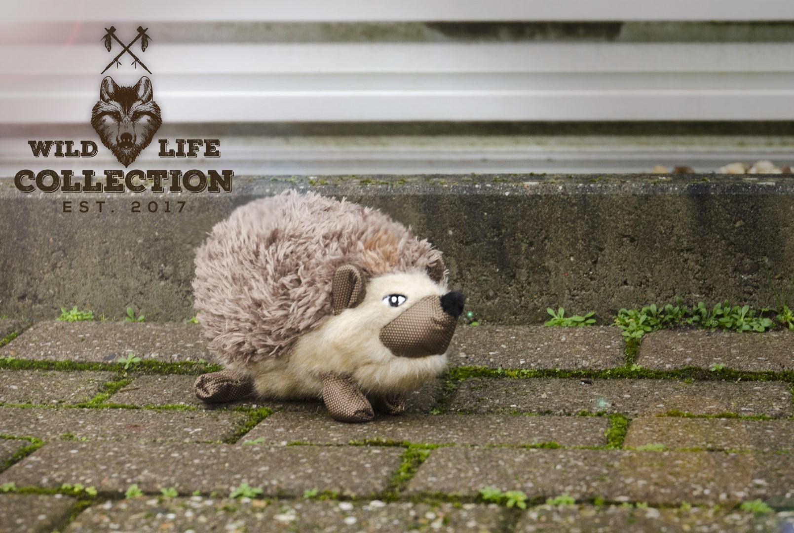 Plush hedgehog dog toy