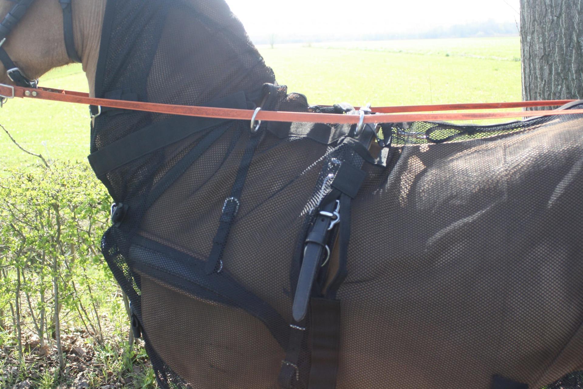 Rocky fly rug with neck
