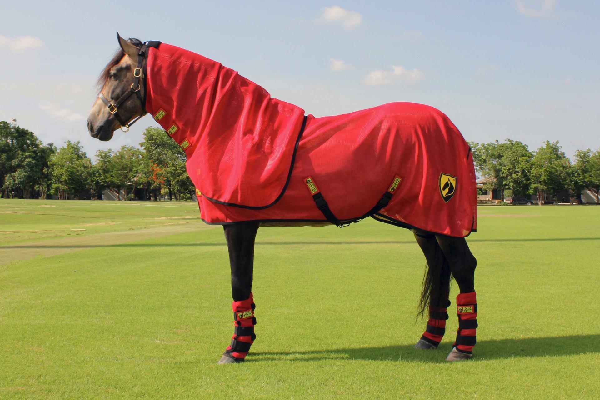 Porsche fly rug