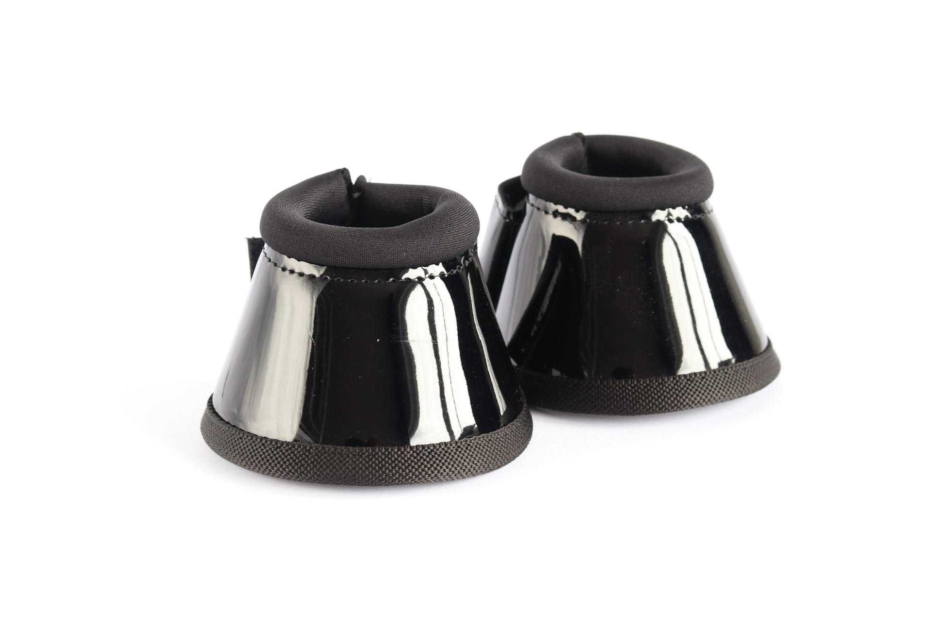 216 Harry and Hector under hoof polish royal blue shetland Horse foot protection