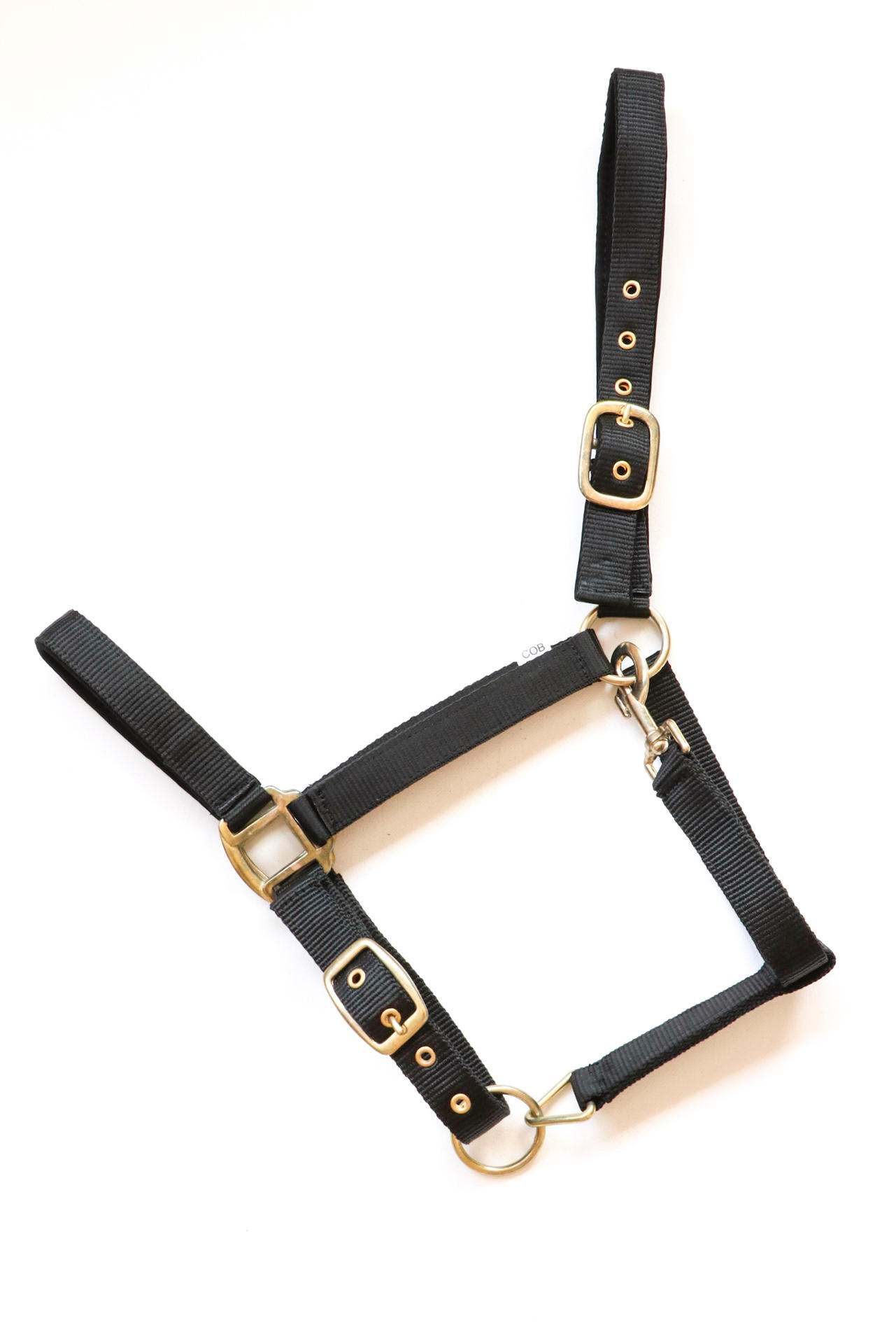 Reni headcollar, halter