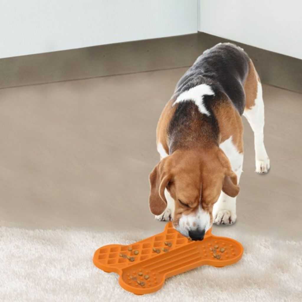 Bone-shaped rubber mat for reward mats