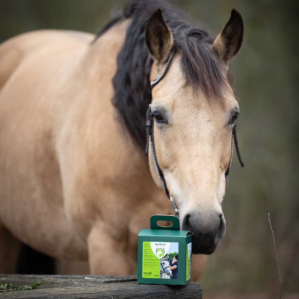 Equi Bronst (Heat), horse health