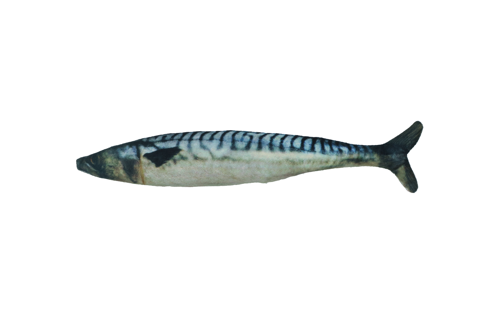 Fully hooked mackerel S 20cm cat toy