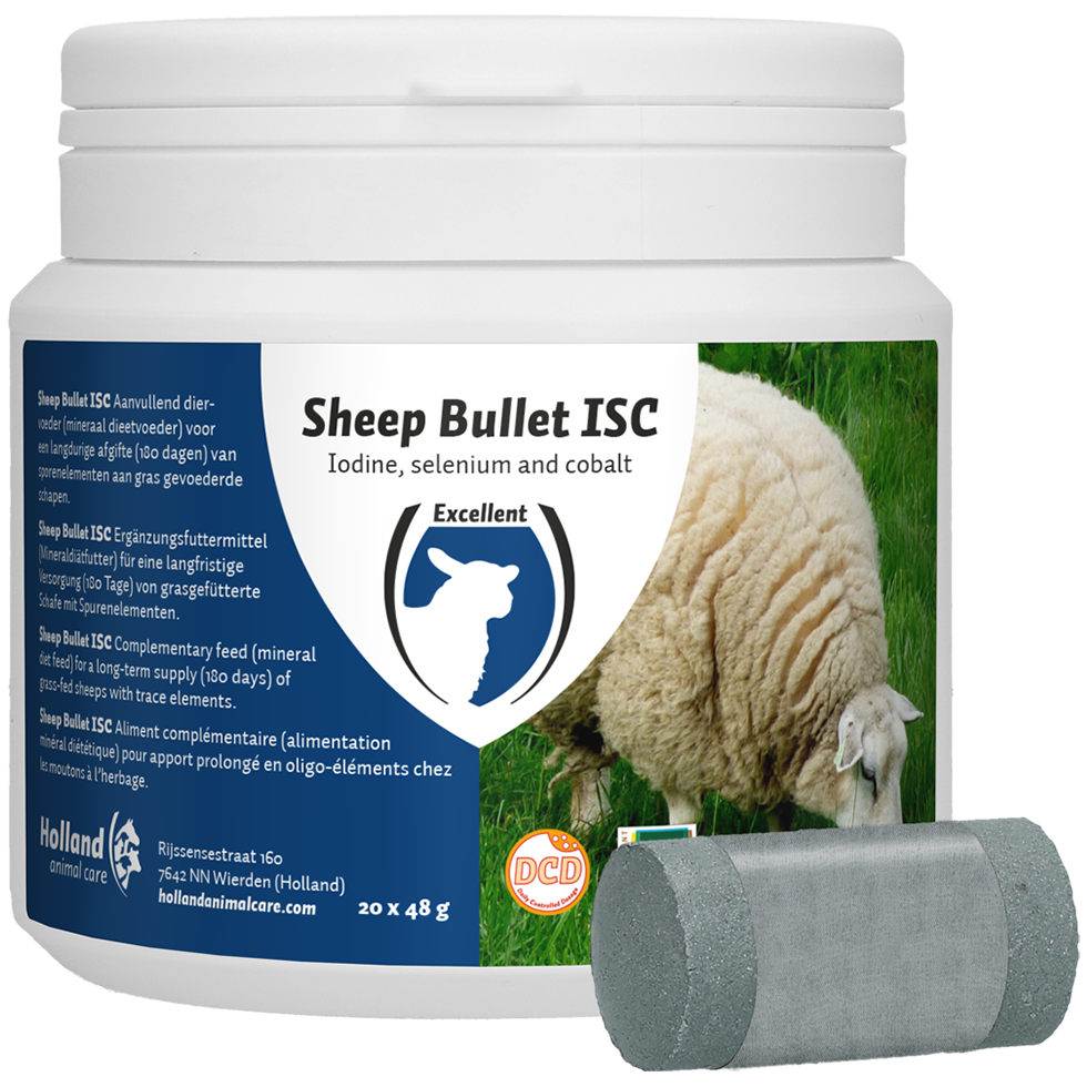 Mineral feed for sheep