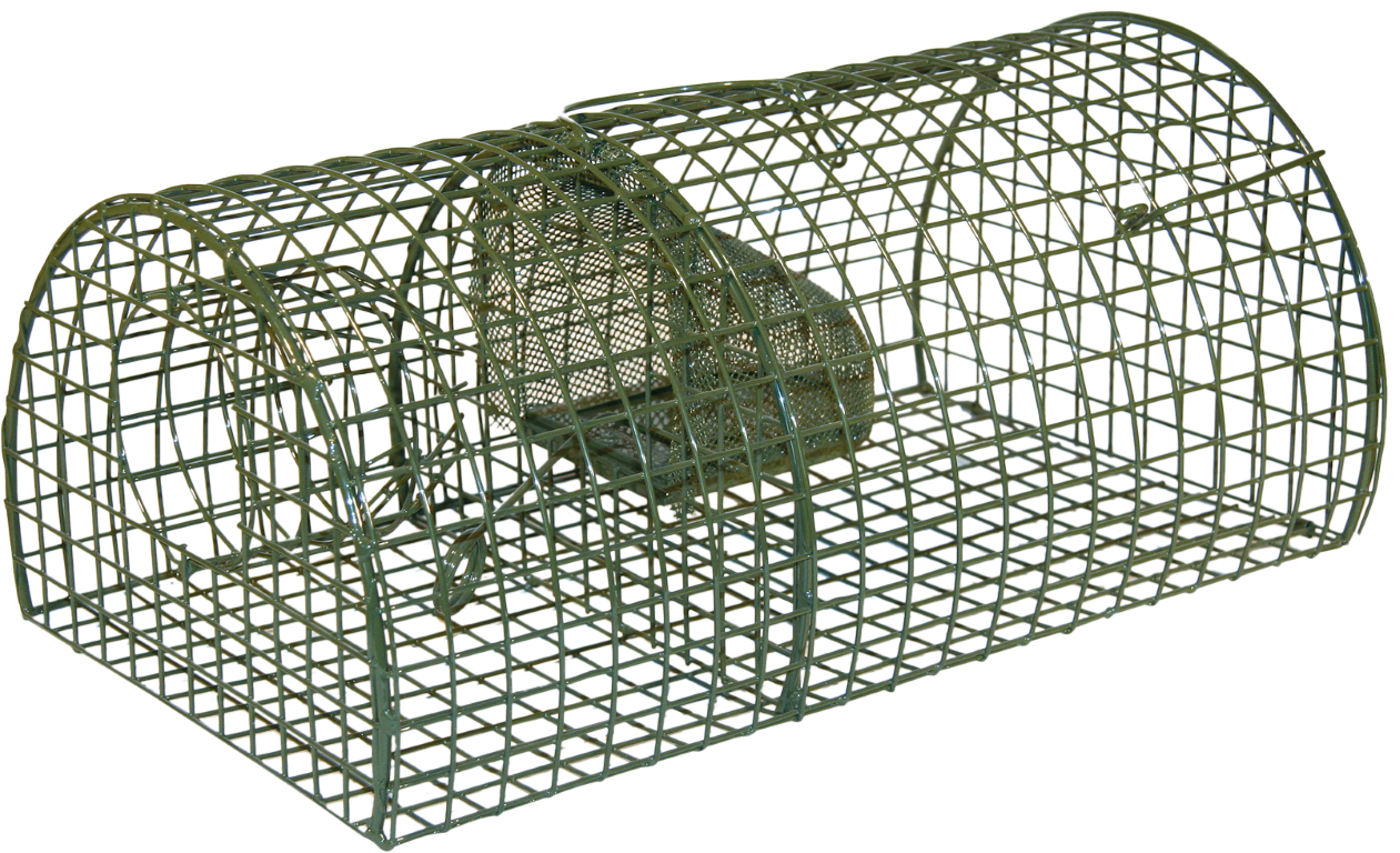 rat trap barn pest control live catch traps