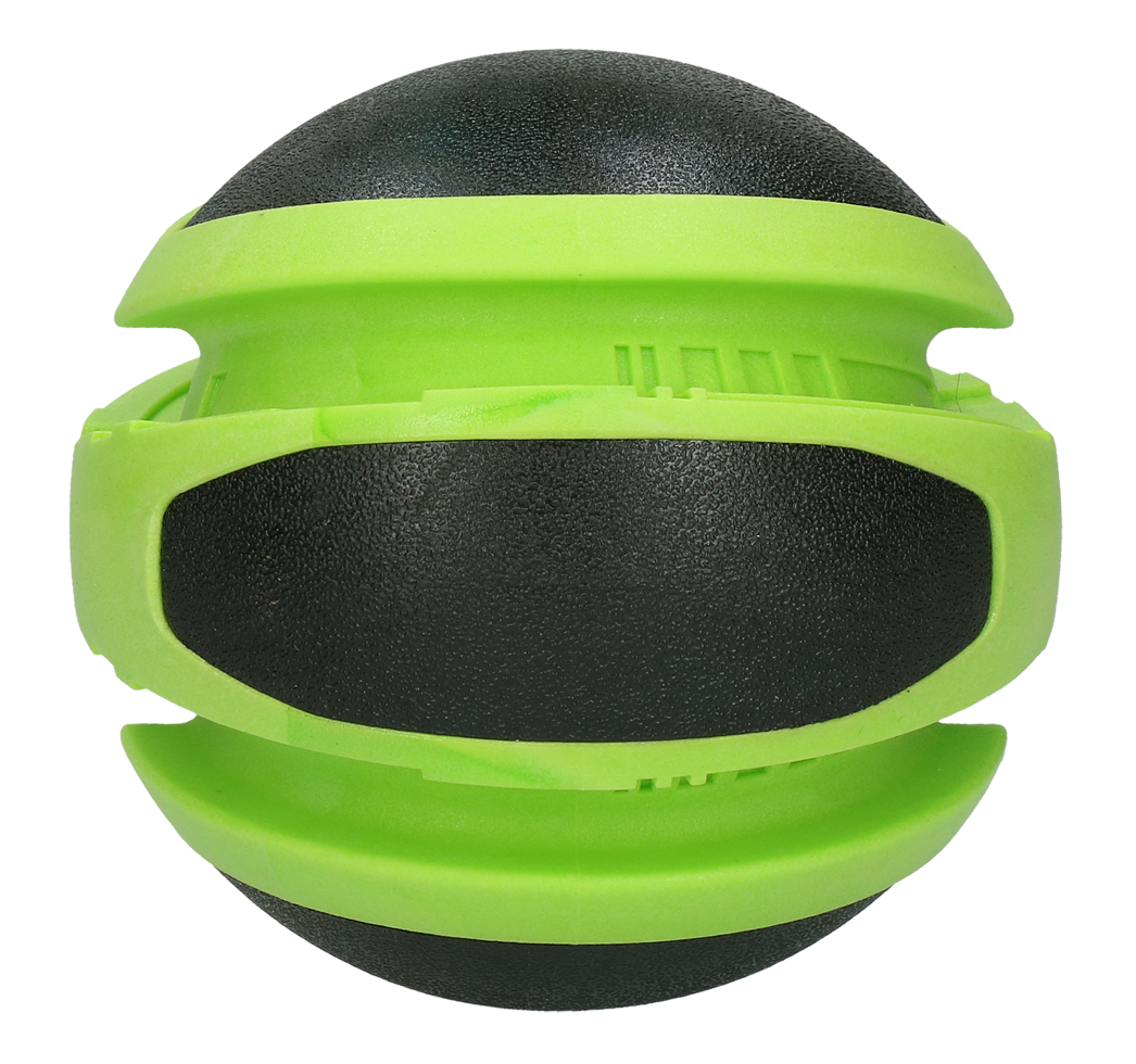 Dog Comets Earth Green