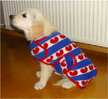 046 Dog sweater 'Friesch' 30cm Dog clothing