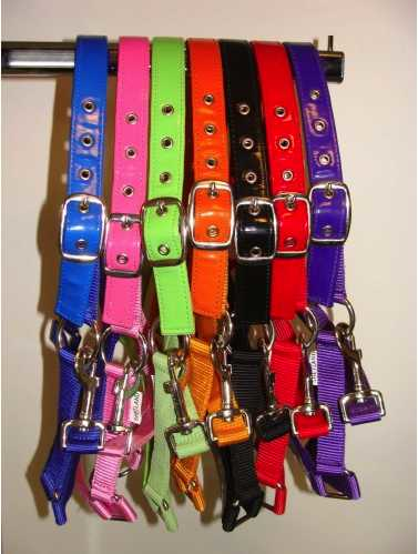 Celzi Headcollar, halter