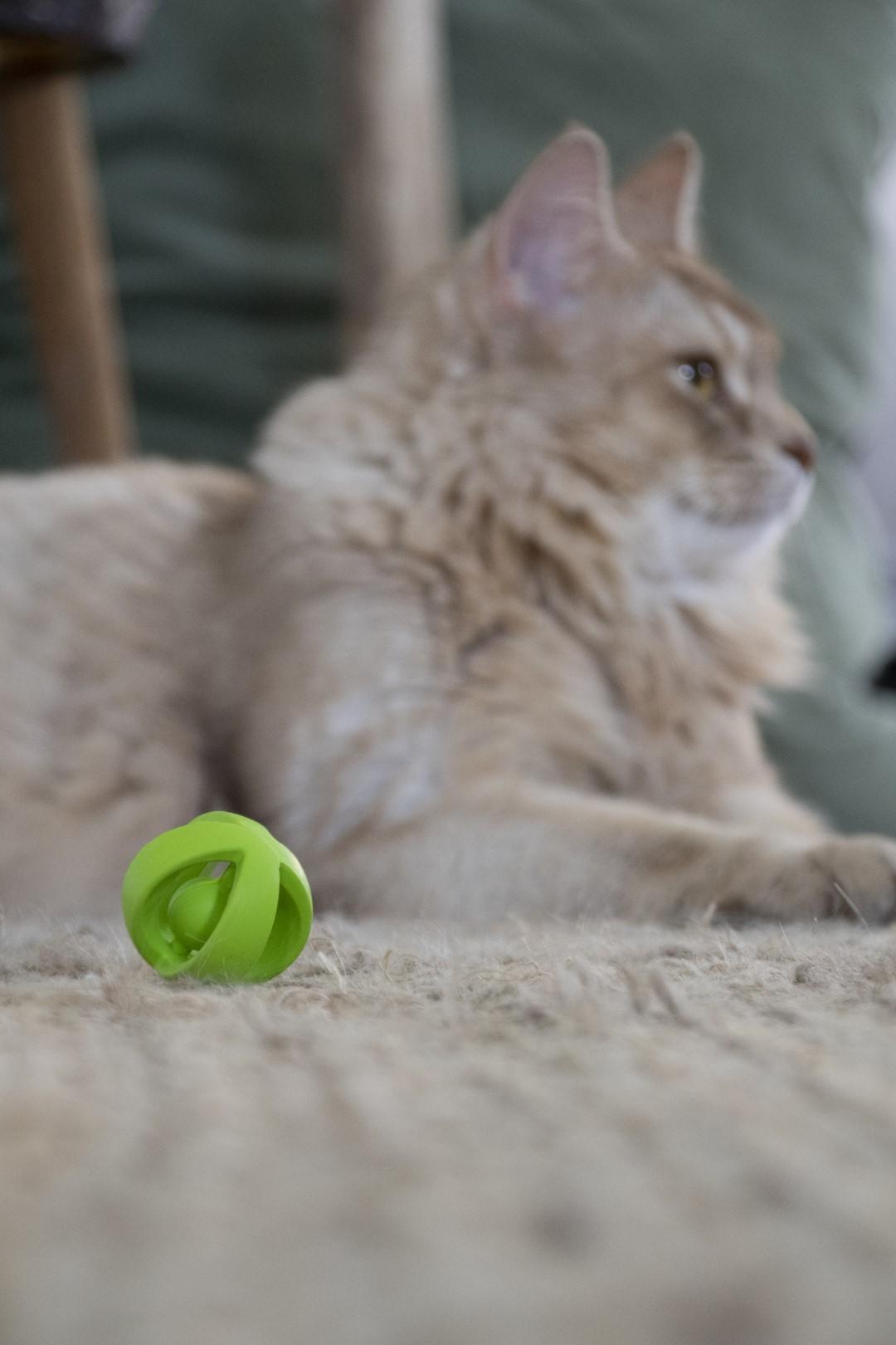 Wacky Wobbler Green ball cat toy