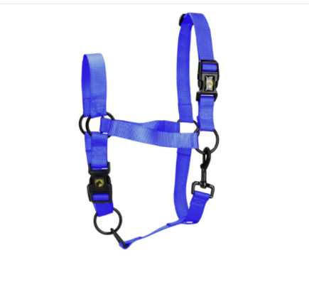Monza Headcollar, halter