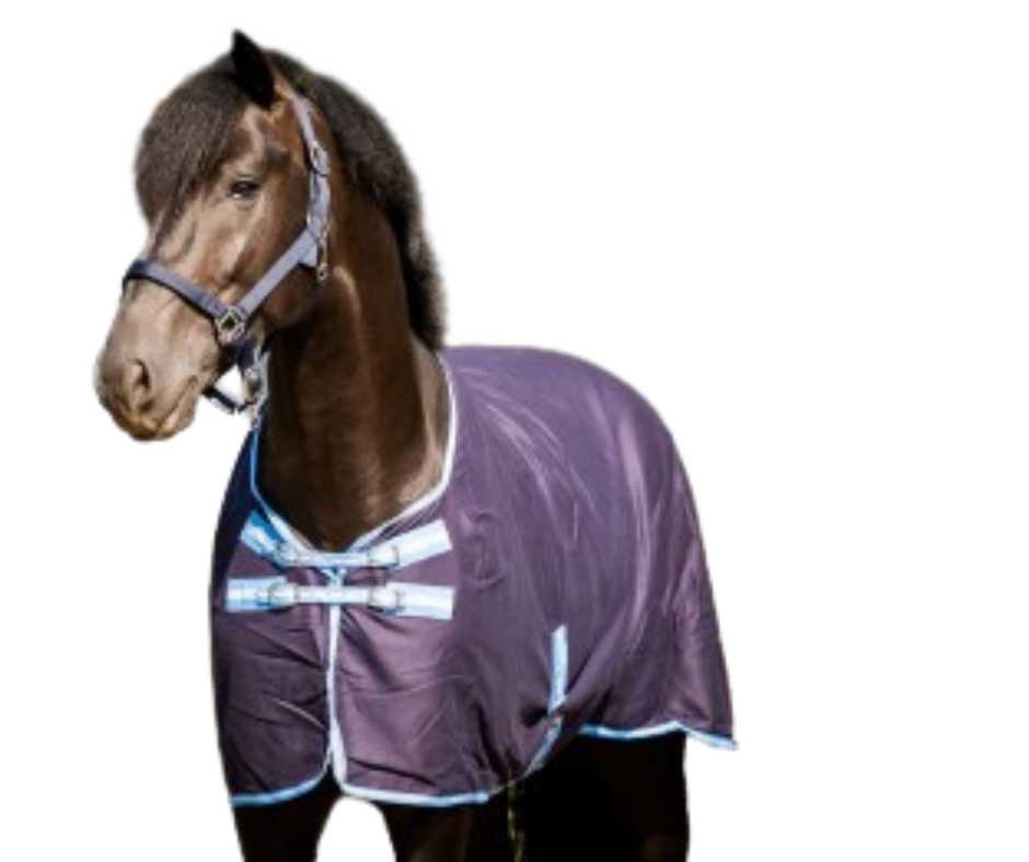 Marlou Summer horse rug