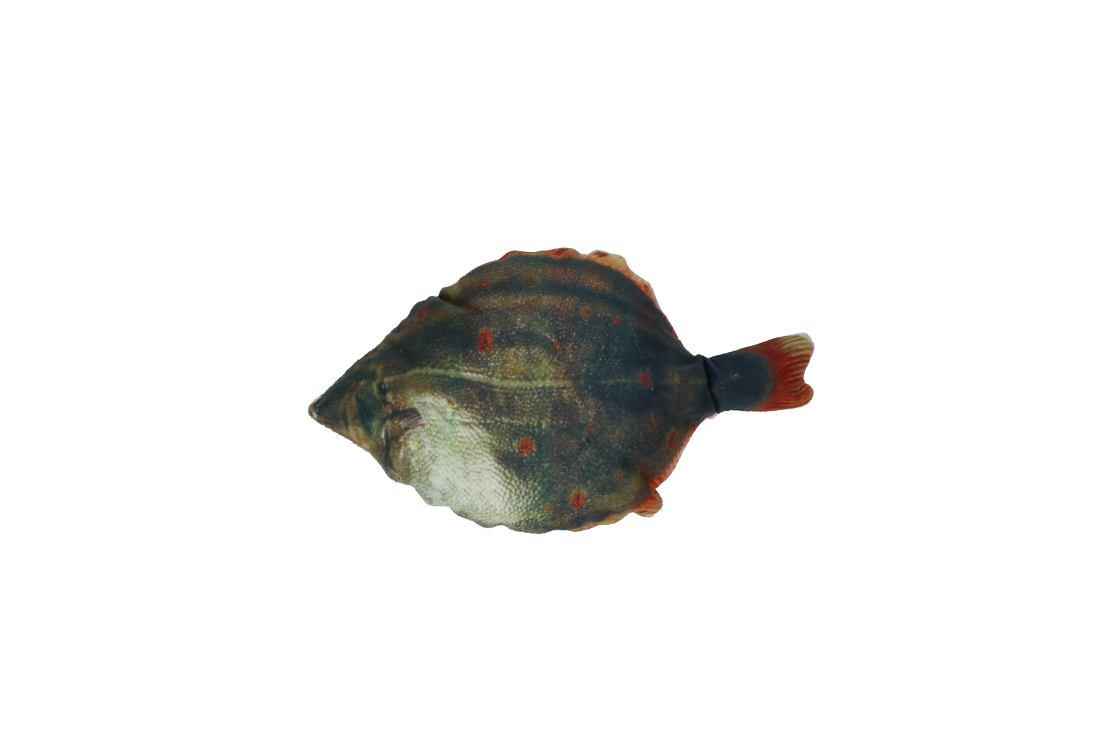 Fully hooked flounder S 20cm, cat toy