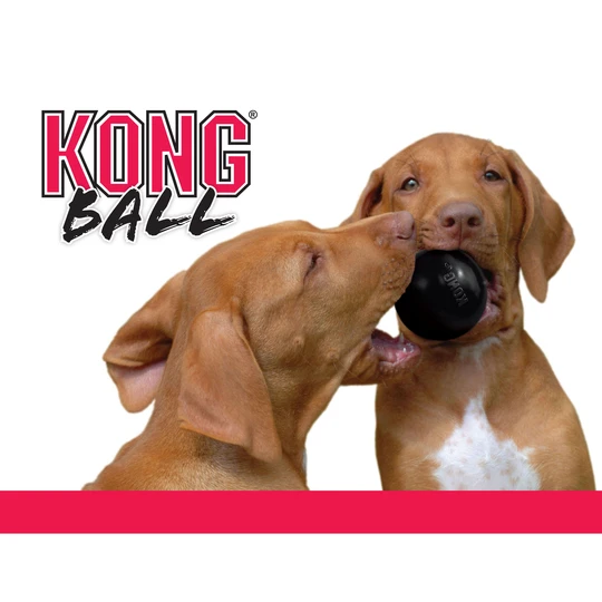 Extreme ball M 6,35 cm dog toy