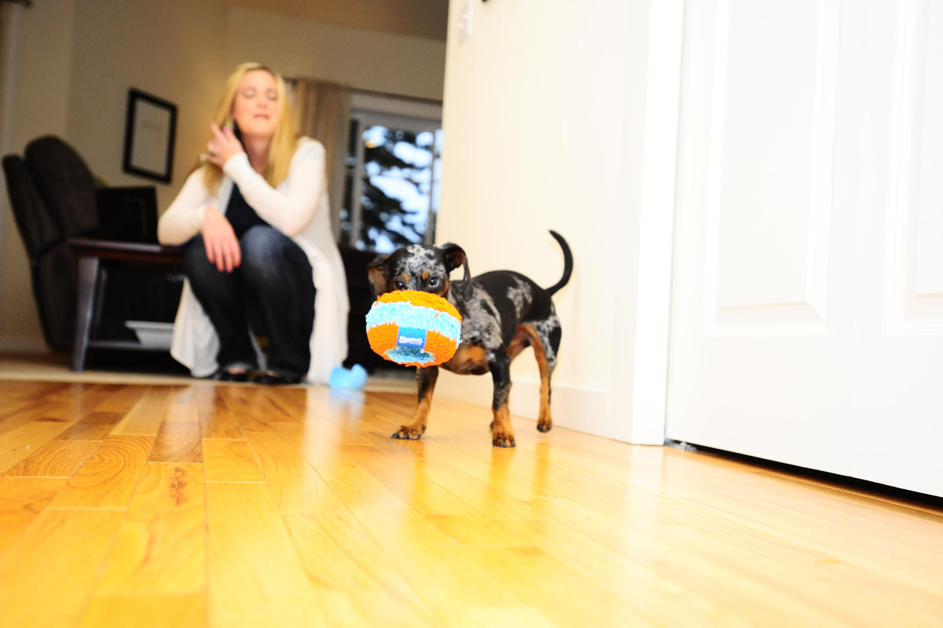 Indoor dog toy 12 cm