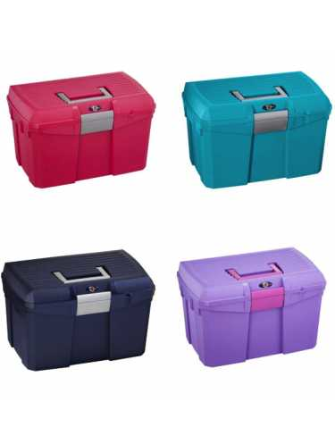 Luxe cleaning tool box set for horse