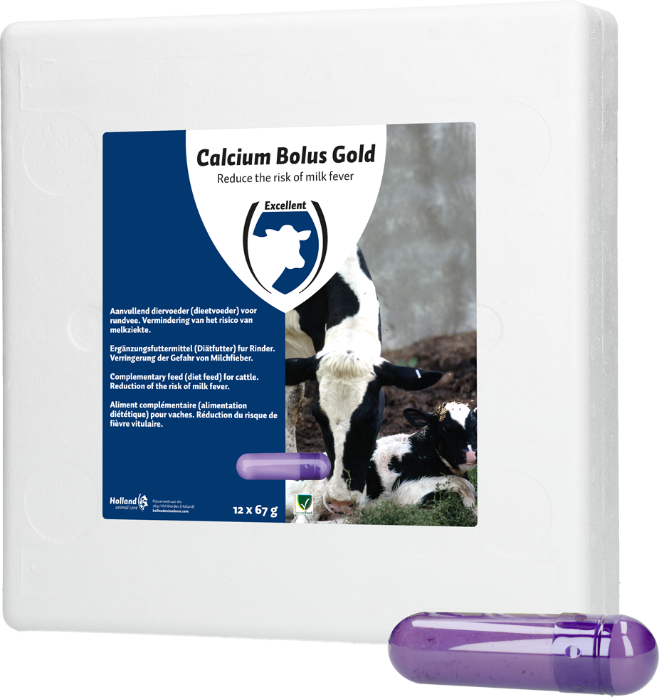 Calcium bolus, gold, milk fever, cattle birth, calving